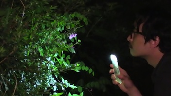 Što ti ta priroda govori?