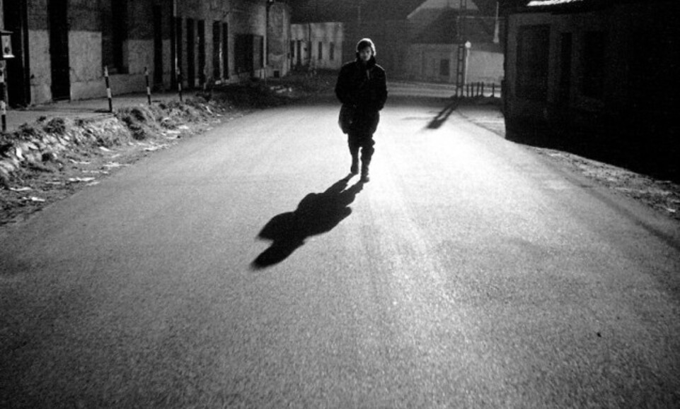 Werckmeisterove harmonije