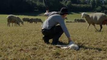 Mora li i konj raditi?