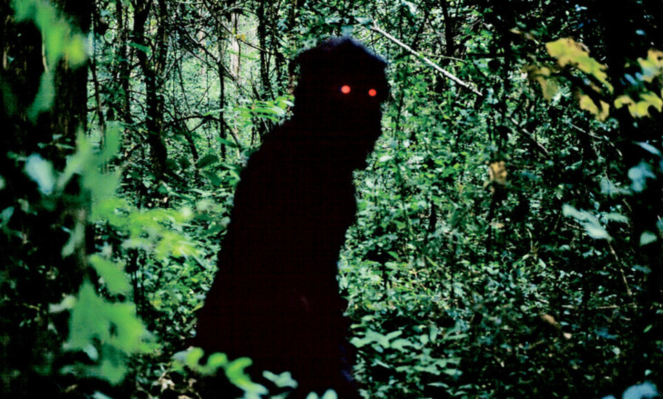 Ujak Boonmee prisjeća se svojih prošlih života