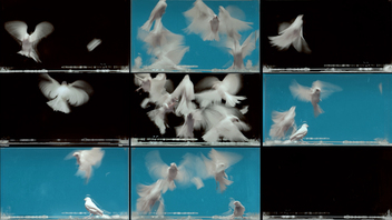 Mirna dolina | Prošla nesvršena budućnost