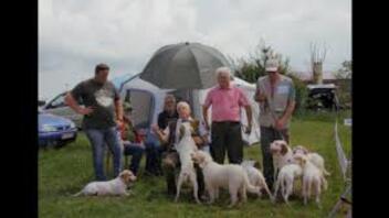 Pozdrav iz sekretarijata | Medo u šparugama | Pijetao Sanyi