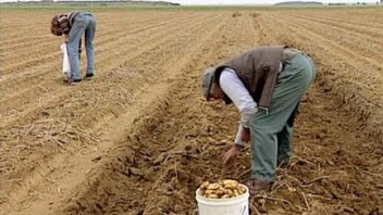 Trudim se: Kratki priručnik za integraciju | Obična kruška |  Sakupljači i sakupljačica