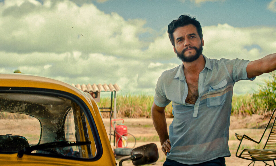 Novi Human Rights Film Festival, Animafin i blagdanski Povratak u Hogwarts